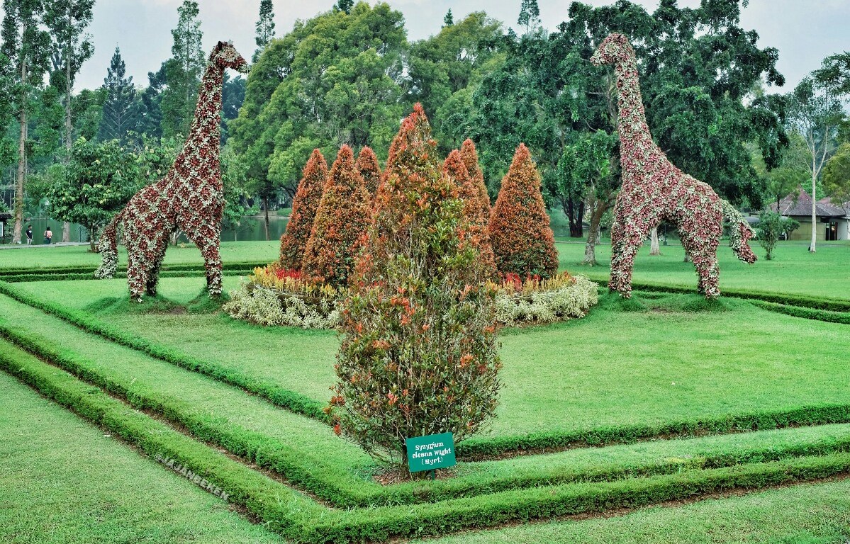 taman-bunga-nusantara